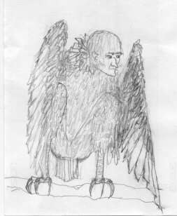 The Harpy